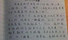 我最喜爱的一种植物作文350字