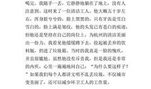 我最敬佩的一个人作文妈妈