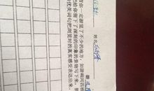 游作文400字左右(按游览顺序)