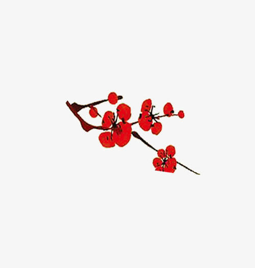 我是一个李子