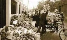 记忆中的美食作文