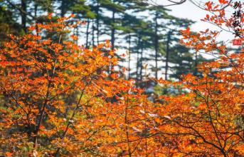 这种风景让我着迷