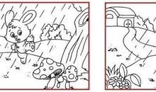 小白兔的蘑菇伞看图写话