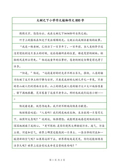 当我遇见你作文800字