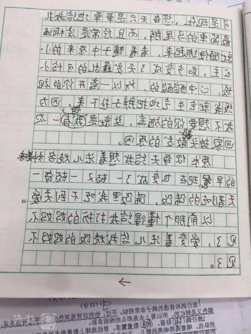 我的同学是文本300字
