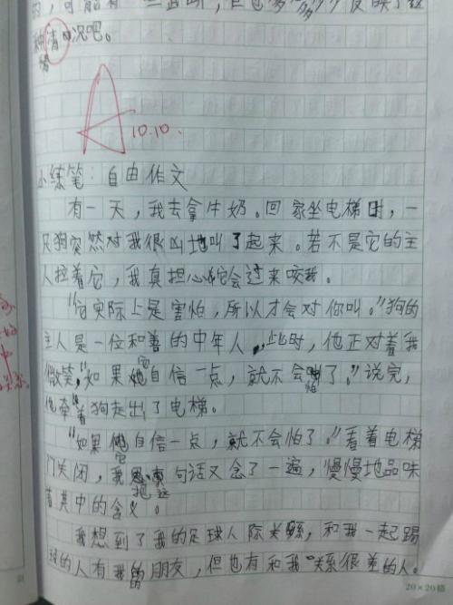 落花生仿真小训练笔300字