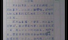 我喜欢过年_1000字