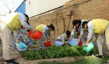 学雷锋 做有道德的人_700字