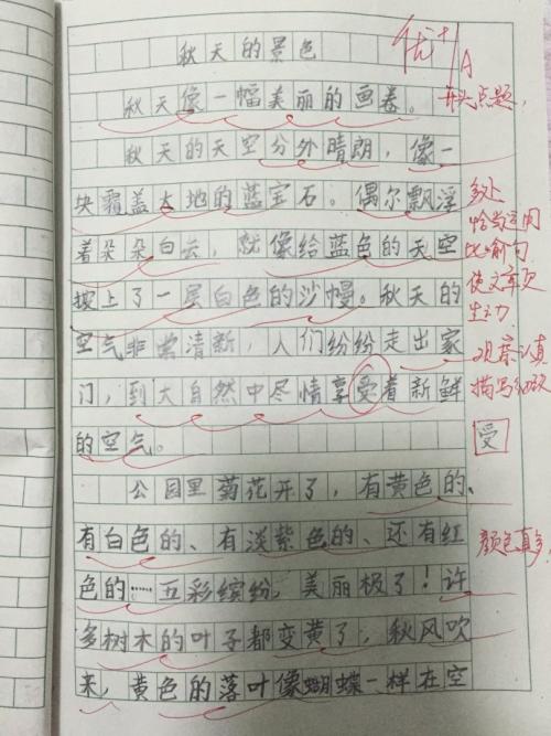 枫叶构成300字