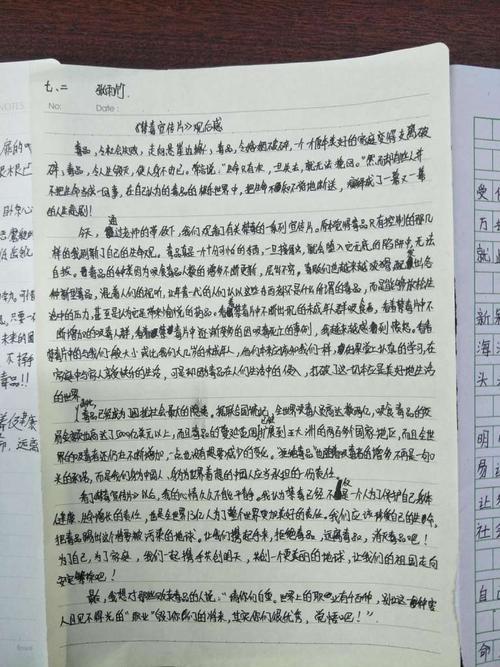 观看抗药物视频概念_800字后