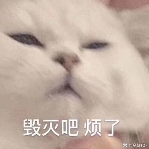碰撞
