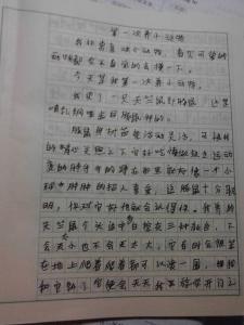 阶级组成600字叙事
