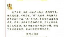 多彩的活动作文运动会点面结合