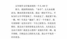 一个印象深刻的人400字作文