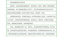 那些灿烂的细节作文800字