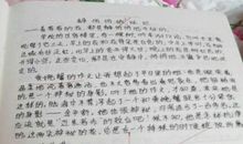 找到自己的燃点作文600字