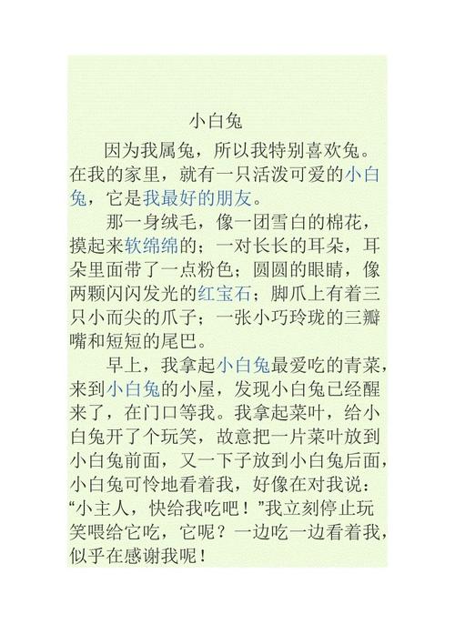 我想只养育小动物成分拔牙级白兔