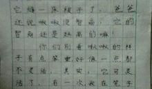 我做了一次小实验三年级300字作文