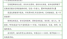 老师的眼睛作文400字四年级