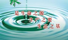 生命之源——水 _500字