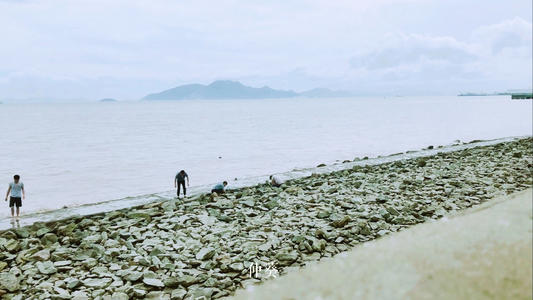 Datizhan旅行_350字