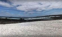 吃货们幸福的天堂 ——厨艺课之趣味泡芙记_800字