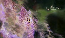 春风吹开心灵之花_750字