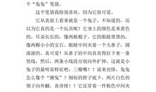 邂逅“泰戈尔”_400字