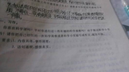 关于诚意作文：真诚的回顾_900字