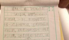 另外的选择_300字