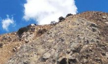 奇妙的一天_1500字