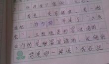 关于真诚的作文：感受真诚_1200字