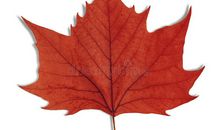 活得像秋天一样_900字