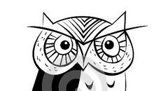 [畅想七夕]迷路的猫头鹰_400字