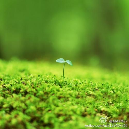 新生活的开始_450字