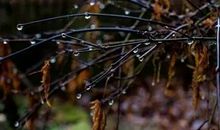 冬天的雨_1200字