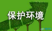 关于雷的作文:来去匆匆的雷雨_800字