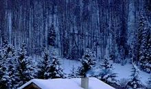 ［如约而至］四季_800字