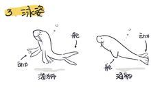 与海狮合影_350字