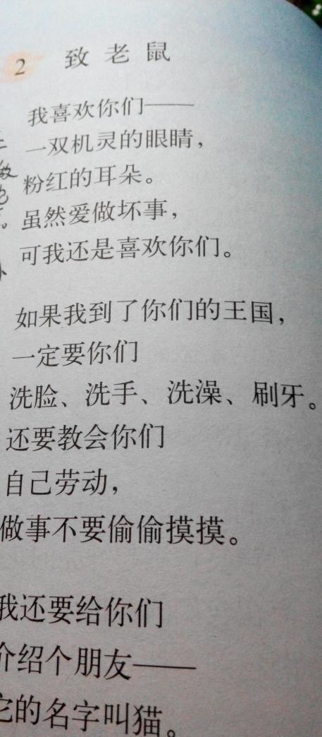 爸爸的感受_150字