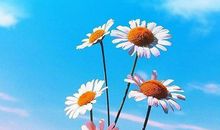 ［少年时代］做一个坚强的人_500字