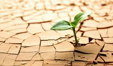 参观土地展览_200字