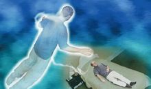 在阅读中丰养灵魂_900字