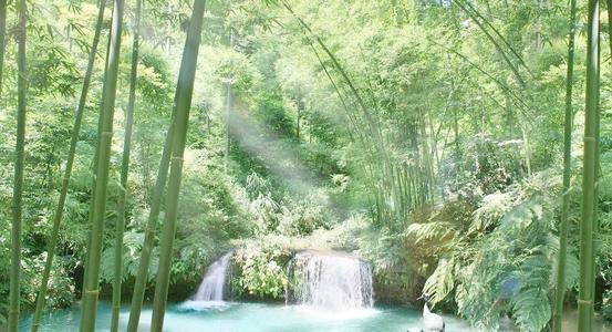 孟浩兰“夏天南婷淮新达”
