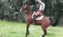 我学会了跳绳_400字