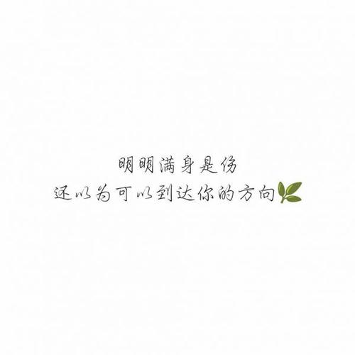 乘客_600字