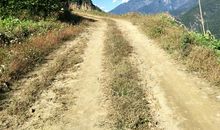 我是真的懂你_900字