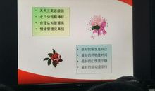 [如约而至]阳光_2000字