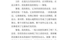 【朋友】我的特殊朋友_700字