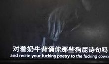 青春是一道明媚的忧伤_300字